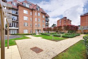 Communal Garden- click for photo gallery